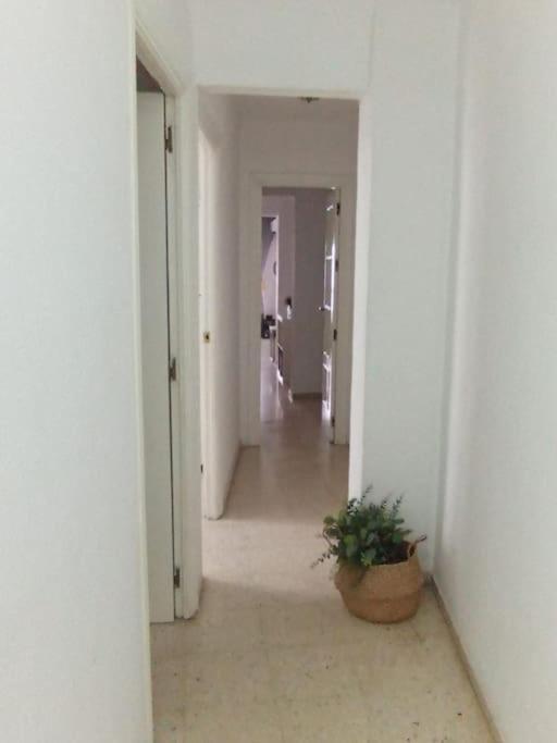 Apartamento Plaza Toros Севилья Экстерьер фото